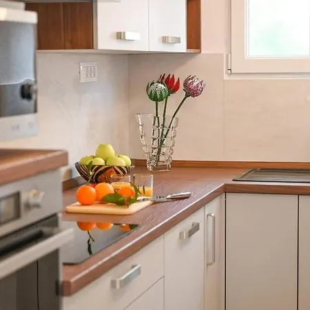 Apartman Leo Blue Vela Luka